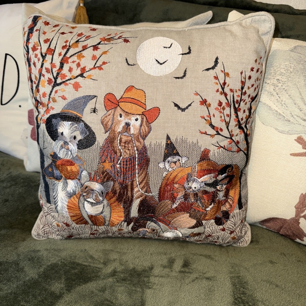 Pier 1 One Pillow Fall Halloween Embroidered Dogs & Cats‎ In Costumes 15" X 15"